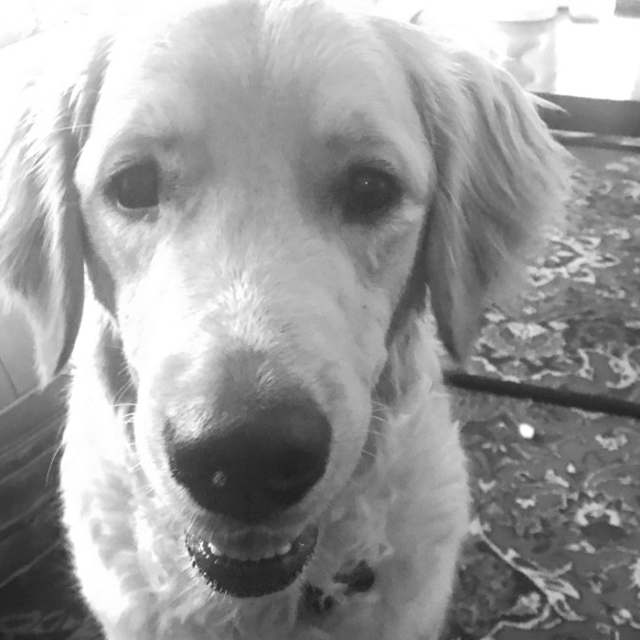 Meet your Posher, Kelly - Picture 1 of 1